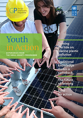Cover image for publication "Youth in Action: Experiences from the Small Grants Programme"