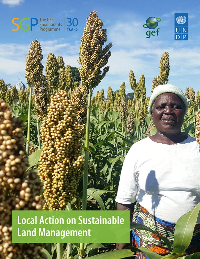 Cover image for publication "Local Action on Sustainable Land Management"