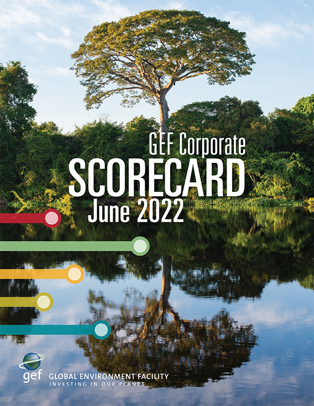 Cover image for publication "GEF-7 Corporate Scorecard - June 2022"