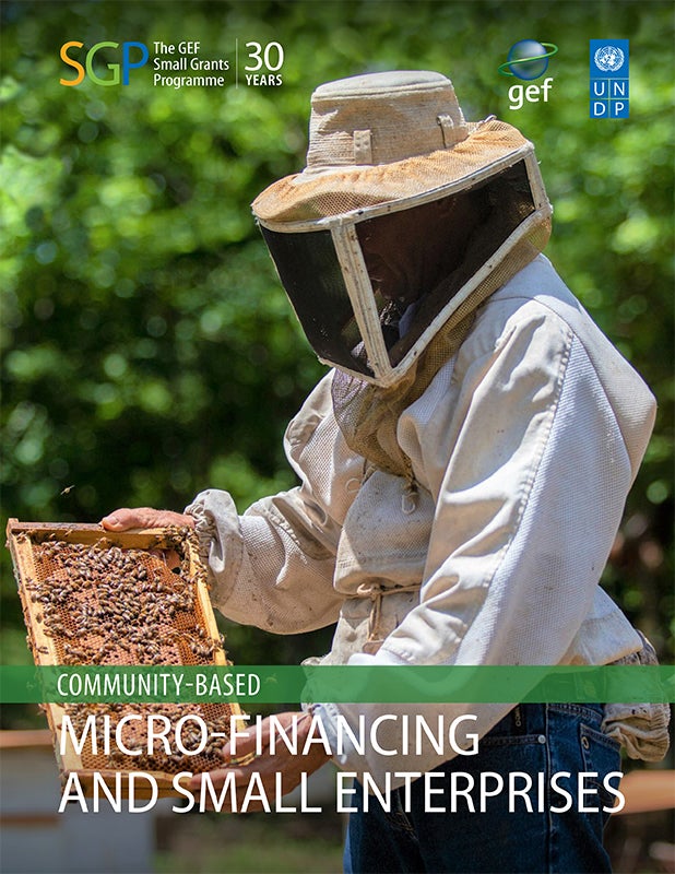 Cover image for publication "Community-based Micro-financing and Small Enterprises"