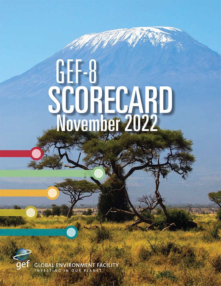 Cover image for publication "GEF-8 Corporate Scorecard - November 2022"