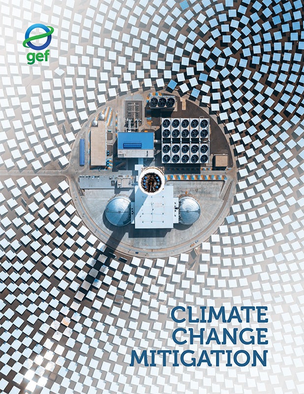 Cover image for publication "Climate Change Mitigation"