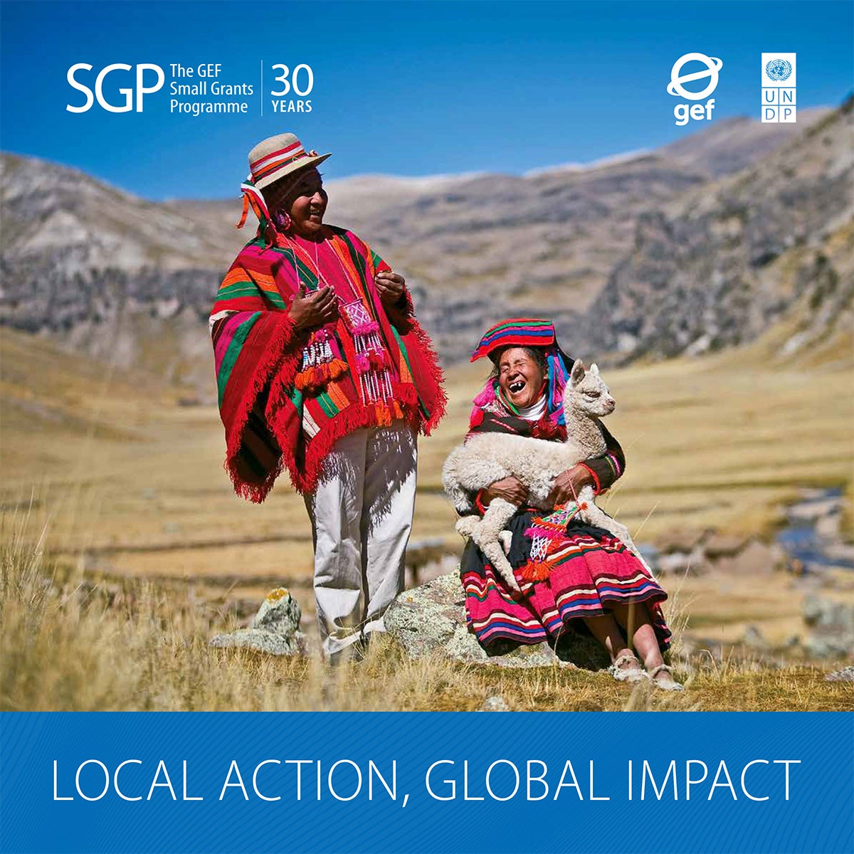 Cover image for publication "Local Action, Global Impact"