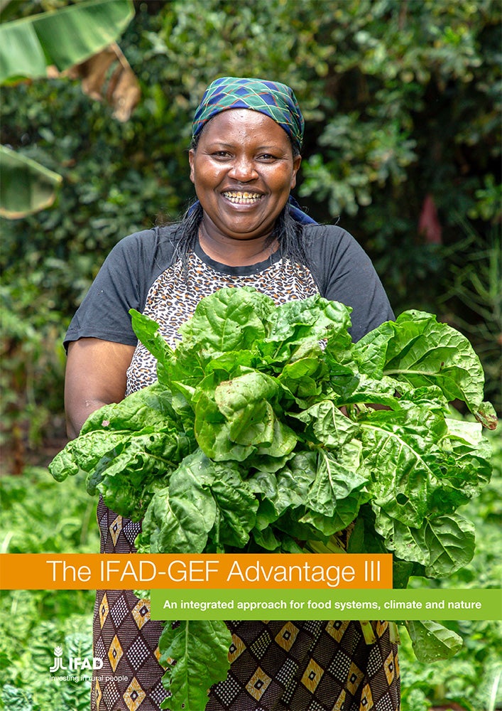 Cover image for publication "IFAD-GEF Advantage III"