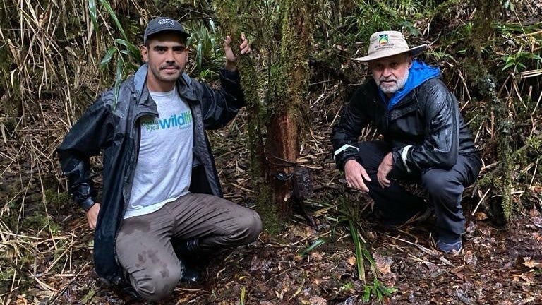 Two men crouching by a tree in a rainforest