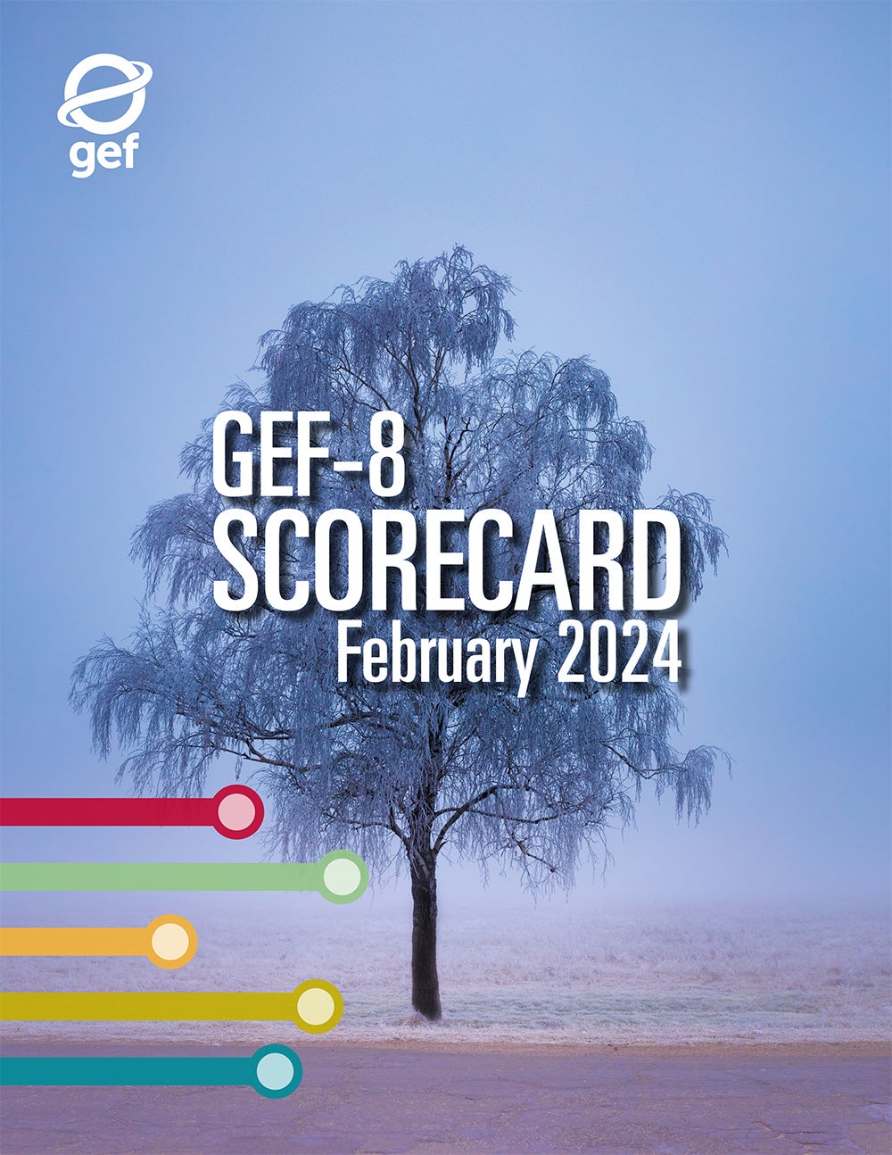 Cover image for publication "GEF-8 Corporate Scorecard February 2024"