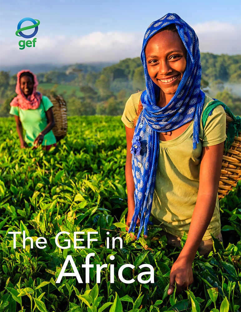 Cover image for publication "The GEF in Africa"
