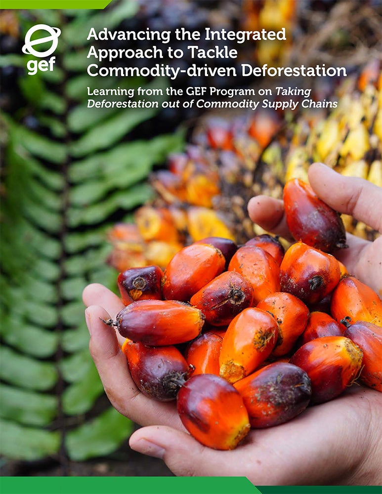 Cover image for publication "Advancing the Integrated Approach to Tackle Commodity-driven Deforestation"