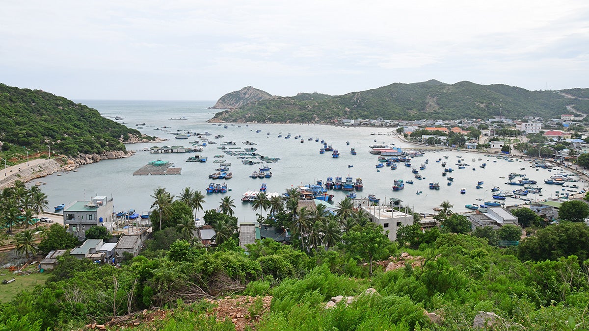 Tropical bay with boats on water