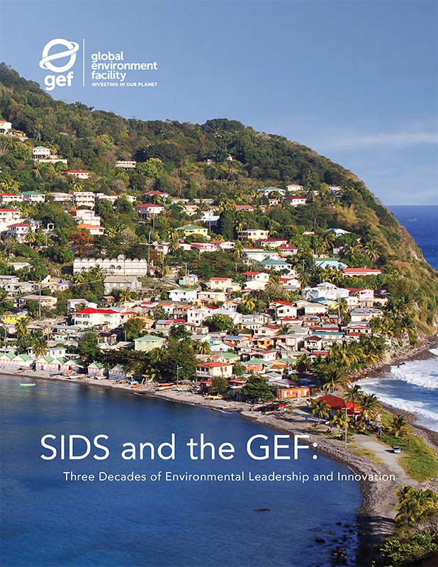 Cover image for publication "SIDS and the GEF"