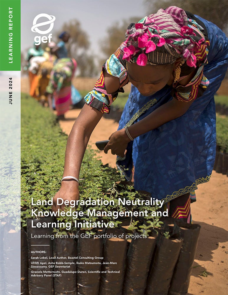 Cover image for publication "Land Degradation Neutrality Knowledge Management and Learning Initiative"