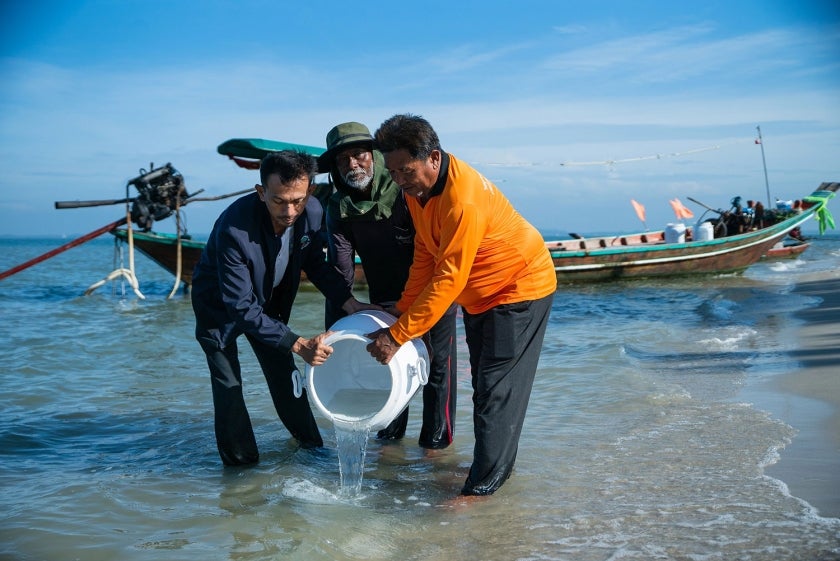 Three men holding a barrel, releasing crab hatchlings into the ocean
