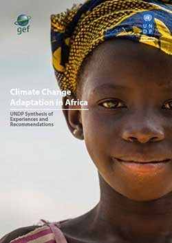 Cover image for Climate Change Adaptation in Africa: UNDP Synthesis of Experiences and Recommendations