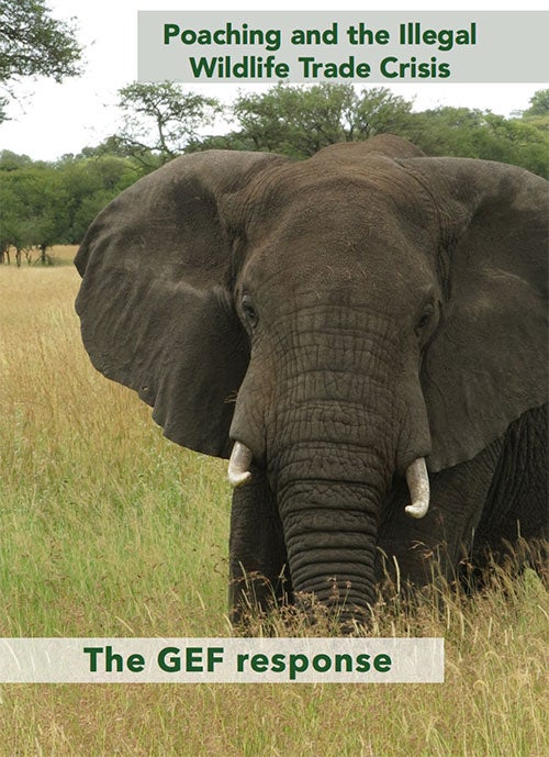 Poaching and the Illegal Wildlife Trade Crisis