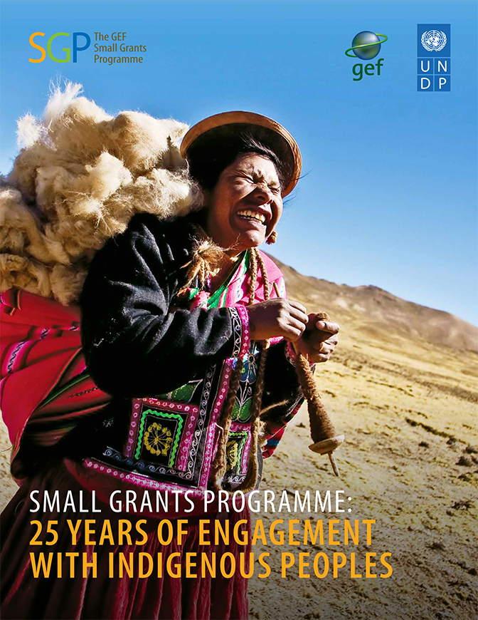 Cover image for SGP publication Small Grants Programme: 25 Years of Engagement with Indigenous Peoples