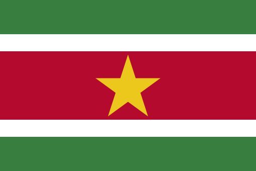 Flag_of_Suriname.svg_.png