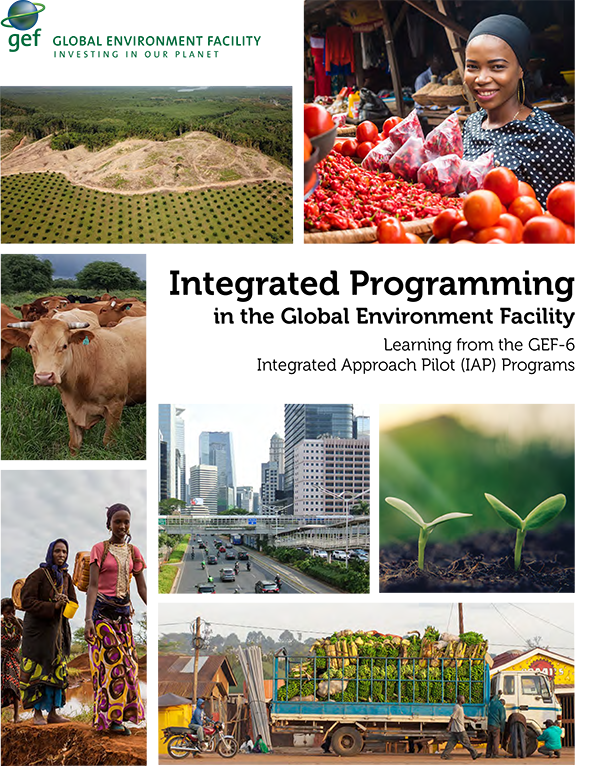 Cover image for publication "Integrated Programming in the Global Environment Facility: Learning from the GEF-6 IAP Programs"