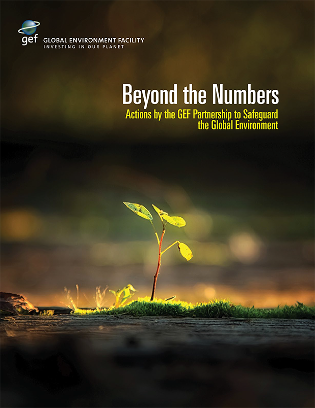 Cover image of Beyond the Numbers publication