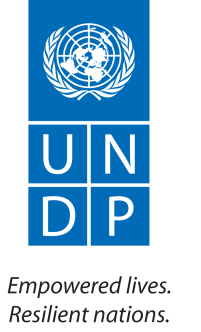 UNDP%20Logo.png