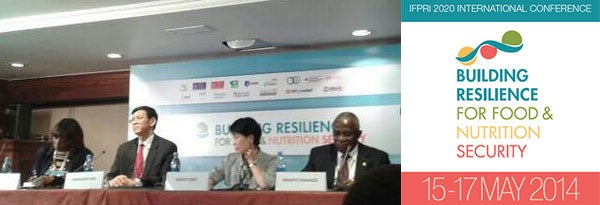 building-resiliance-ifpri-2.png