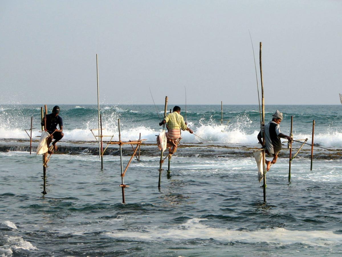 Stilts_fishermen_Sri_Lanka_02.jpg