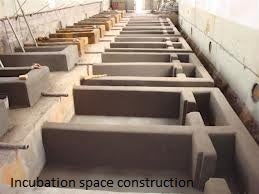incubation%20space%20construction.jpg