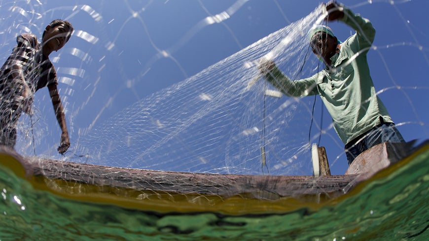 Fishermen with nets