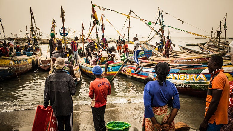 integrated-fisheries-management-for-coastal-communities-resilience-in-guinea-port-view-780x439.jpg
