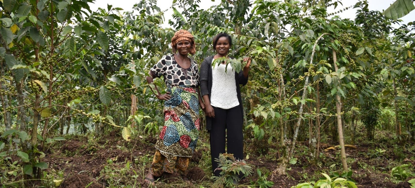 Two women standing among coffee plants