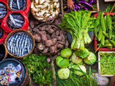 The reduction of agricultural biodiversity in global food systems is of growing concern. Photo: Edmund Lowe Photography / Shutterstock.