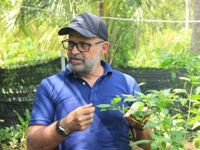 A man inspecting a plant