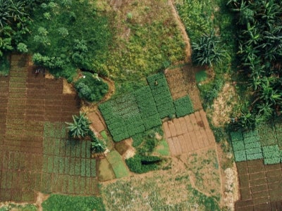 Aerial view of farm landscape
