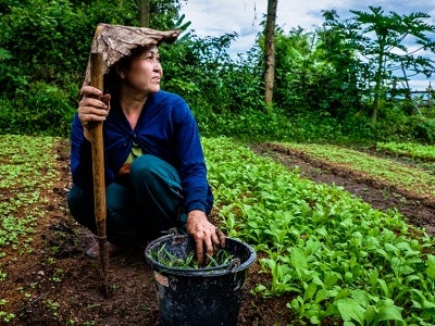 Woman farmer in a garden