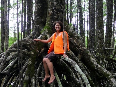 Yoko Watanabe - woman sitting on large mangrove tree in in Palawan, the Philippines