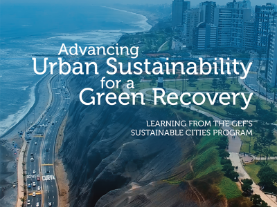 Cover image for publication "Advancing Urban Sustainability for a Green Recovery"