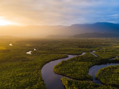Winding river through rainforeset with sun