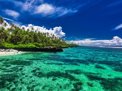 Trees, beach, coral reef in Samoa