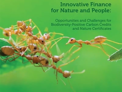 Cover image for publication "Innovative Finance for Nature and People"