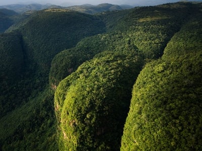 Large forested mountainous area in Guinea