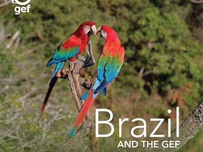 Cover image for publication "Brazil and the GEF"