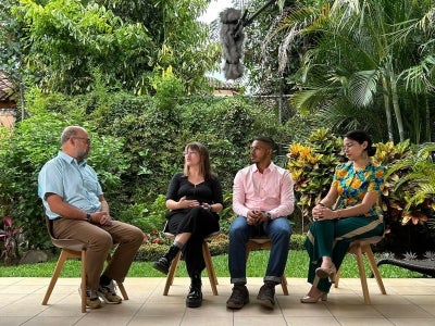 Four people sitting having a discussion with a green plant background