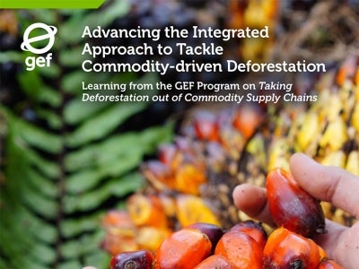 Cover image for publication "Advancing the Integrated Approach to Tackle Commodity-driven Deforestation"