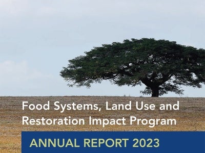 Cover image for publication "FOLUR Annual Report 2023"