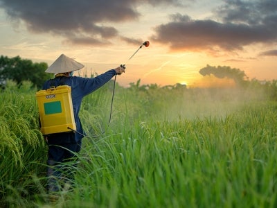 Farmer spraying insecticides in Viet Nam