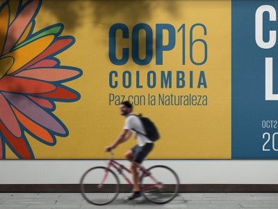 Man riding bike past a wall mural for CBD COP16