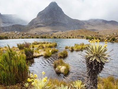 High mountain body of water with plants and mountains