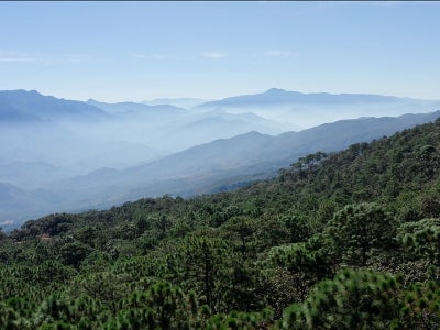 Shots in Nayarit above the mountain range in Mexico, forest in front