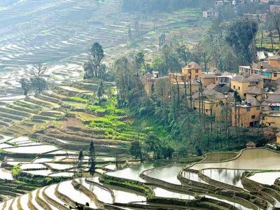China Terraces