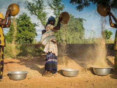 African women play a central role in achieving zero hunger and protecting our planet. Photo: UNDP.