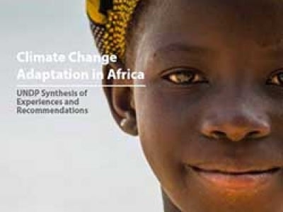 Cover image for Climate Change Adaptation in Africa: UNDP Synthesis of Experiences and Recommendations